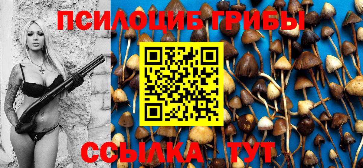 Галлюциногенные грибы мицелий  Галлюциногенные грибы GOLDEN TEACHER  Вход с VPN  Березники 