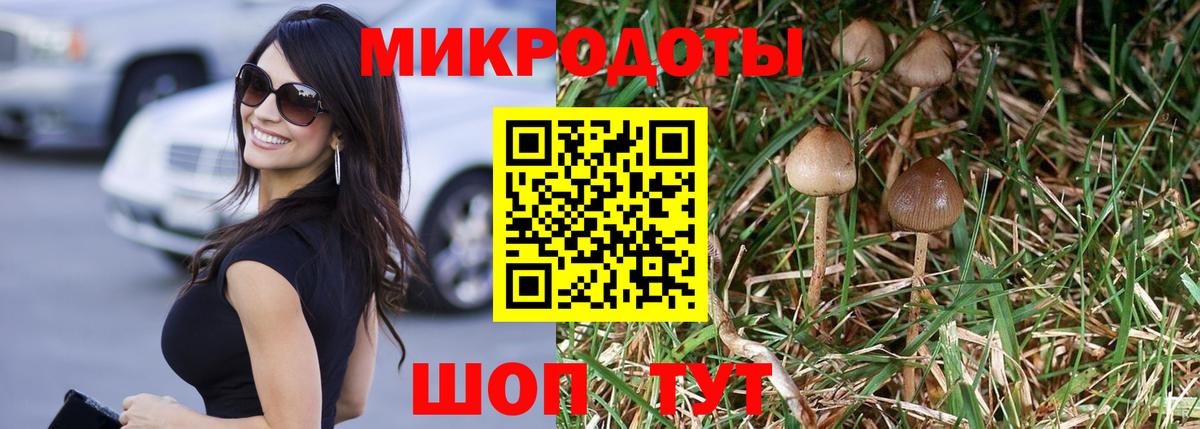 Галлюциногенные грибы мухоморы Березники
